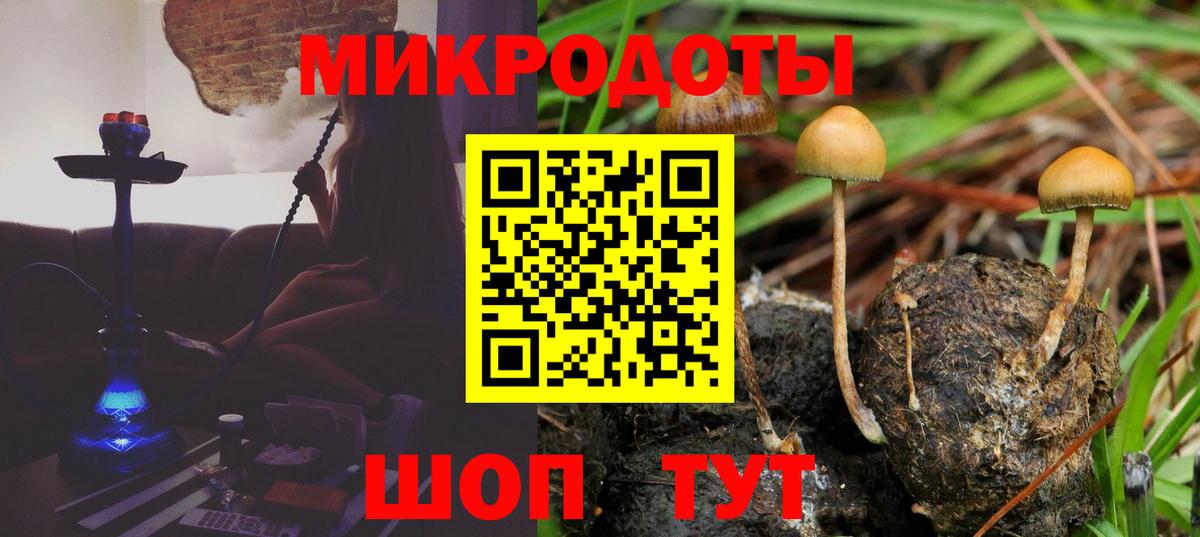 Галлюциногенные грибы Cubensis Электросталь